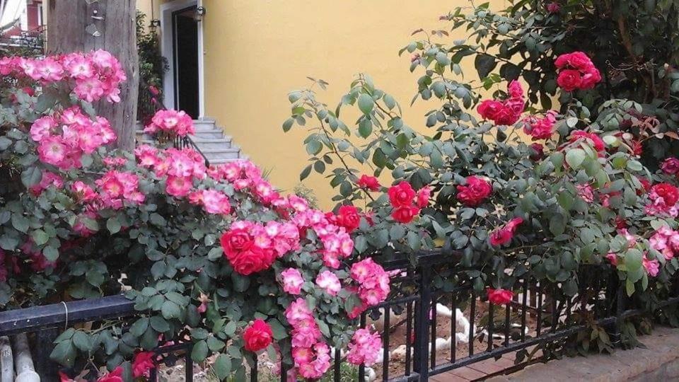Margaritas' Rooms Agios Gordios (Corfu) Exterior foto